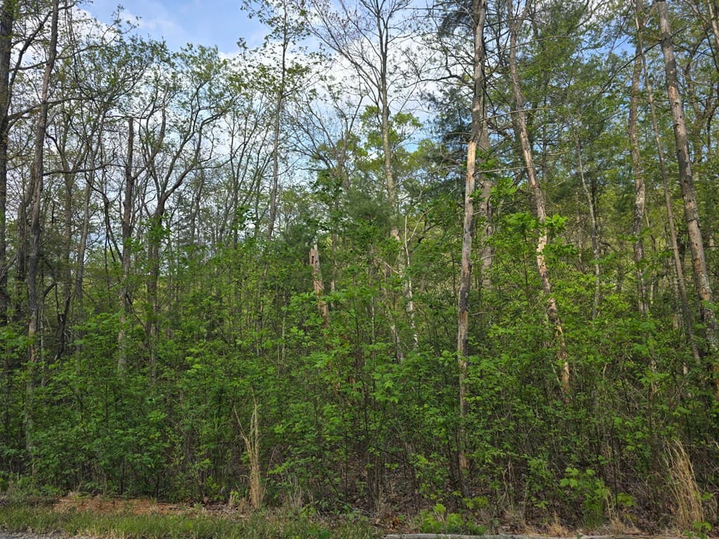 Lot 10 Kennedys Court, Blairsville GA 30512 - Photo