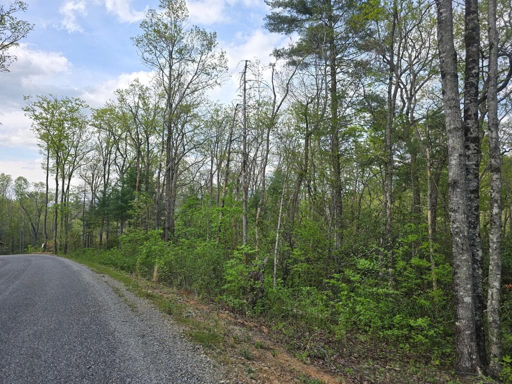 Lot 10 Kennedys Court, Blairsville GA 30512 - Primary photo