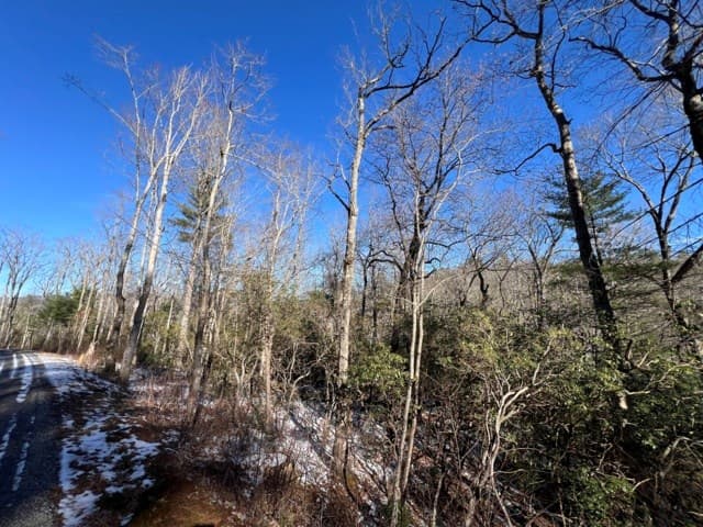 Lot 10 Kennedys Court, Blairsville GA 30512 - Photo