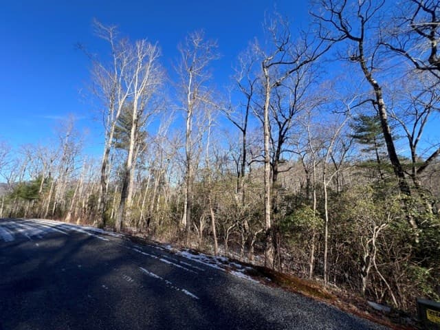 Lot 10 Kennedys Court, Blairsville GA 30512 - Photo