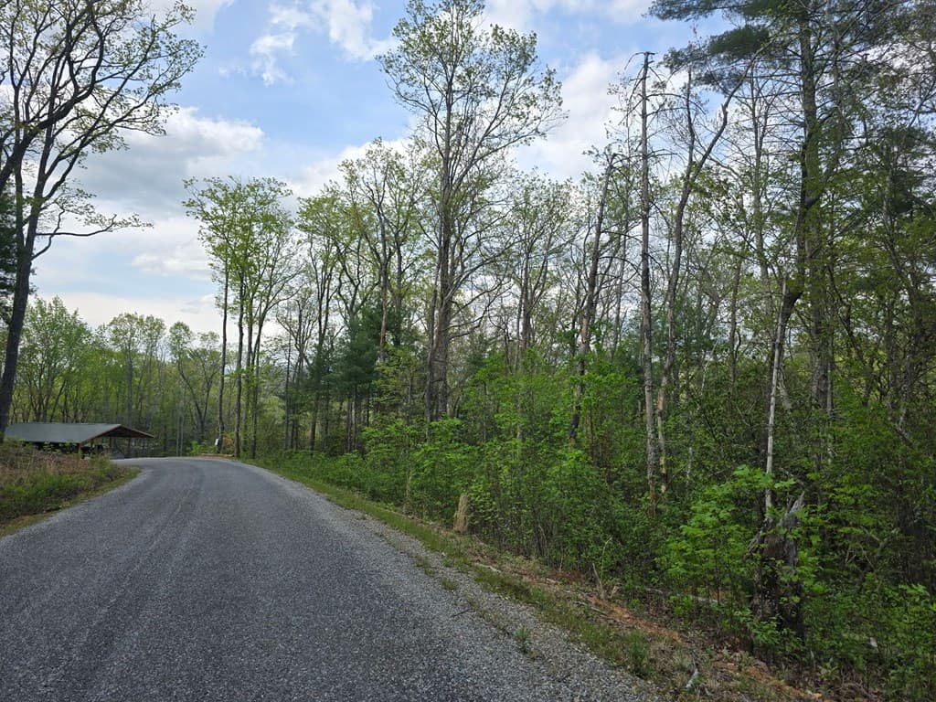 Lot 10 Kennedys Court, Blairsville GA 30512 - Photo