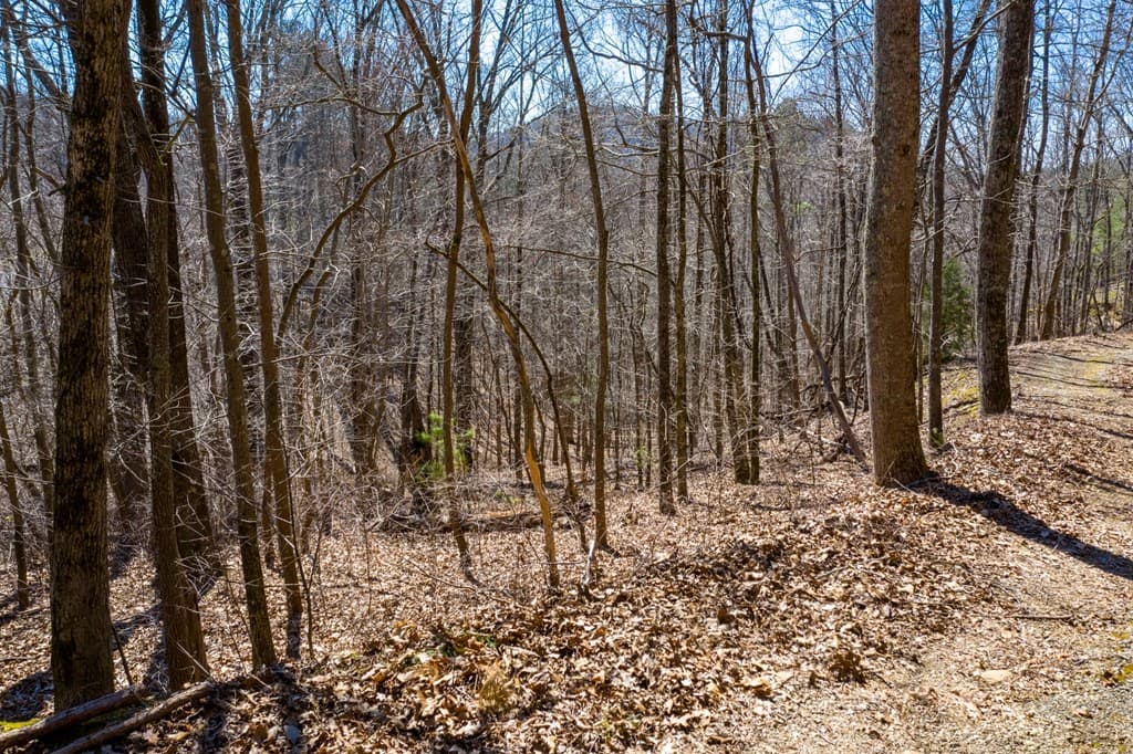 278 Carters Lake Overlook, Ranger GA 30734 - Photo