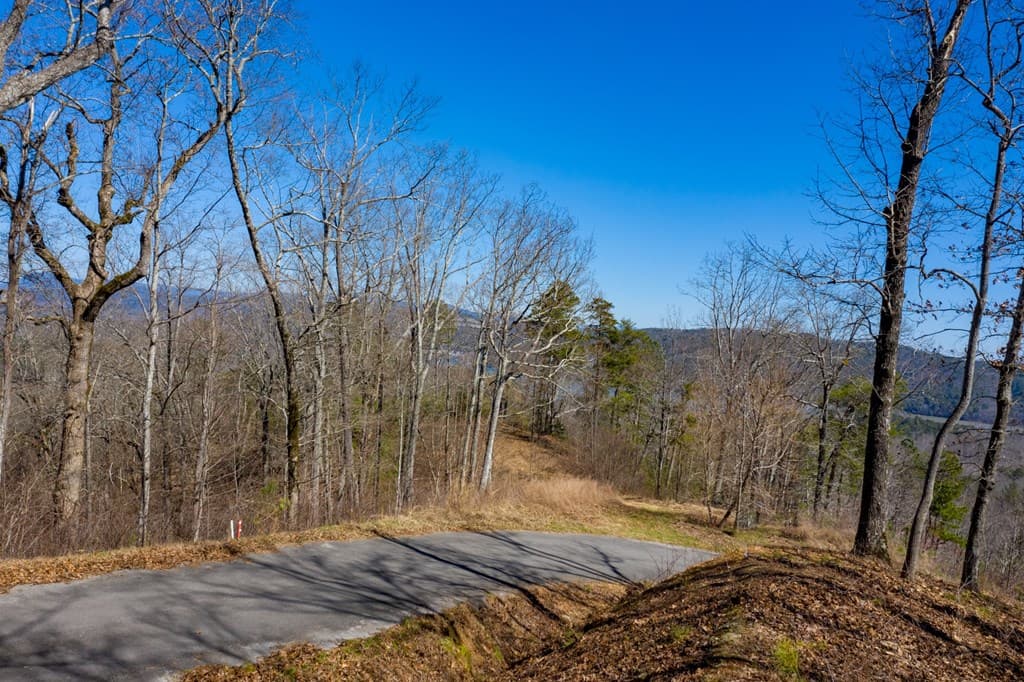 278 Carters Lake Overlook, Ranger GA 30734 - Photo