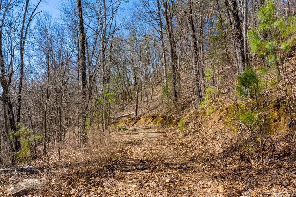 278 Carters Lake Overlook, Ranger GA 30734 - Photo