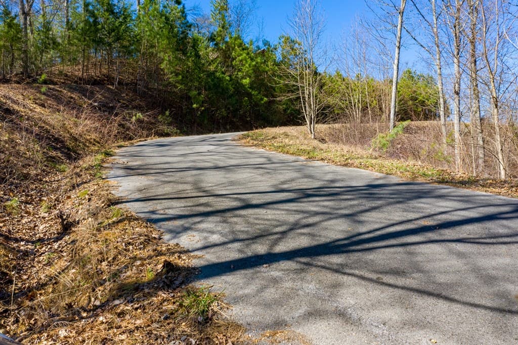 278 Carters Lake Overlook, Ranger GA 30734 - Photo