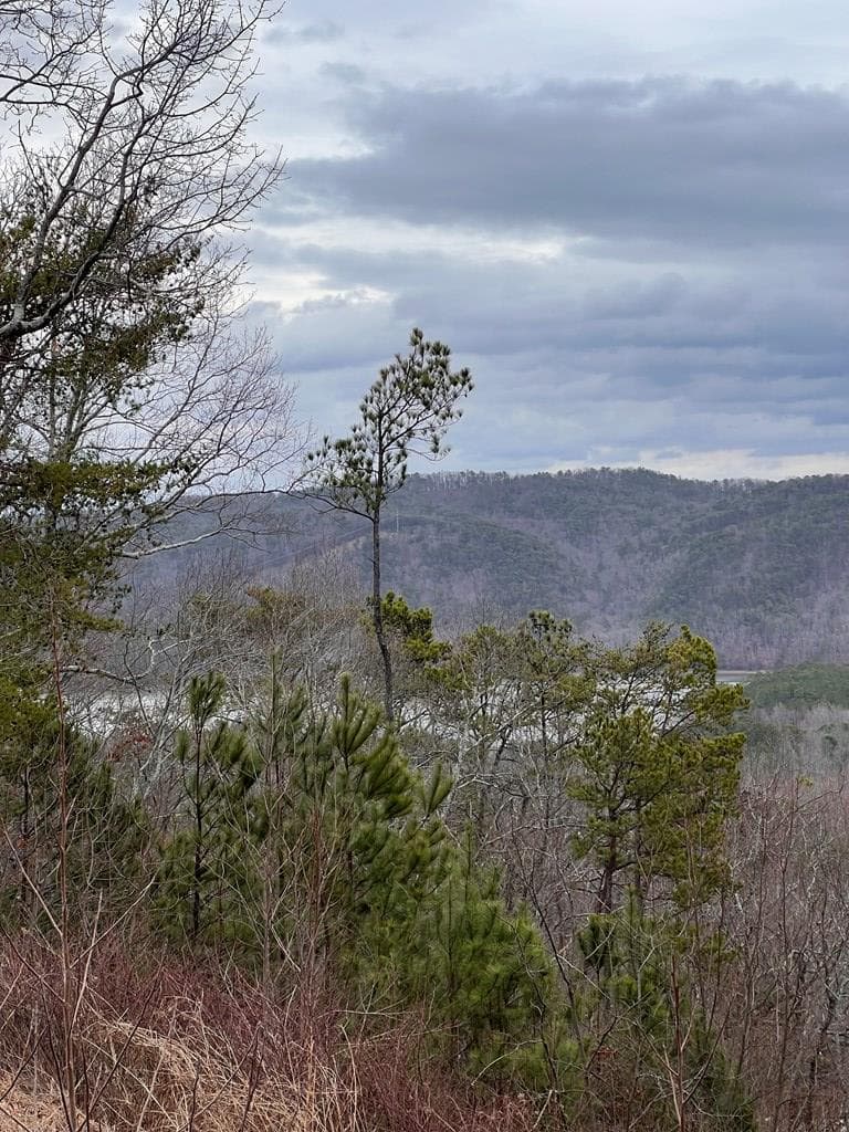278 Carters Lake Overlook, Ranger GA 30734 - Photo