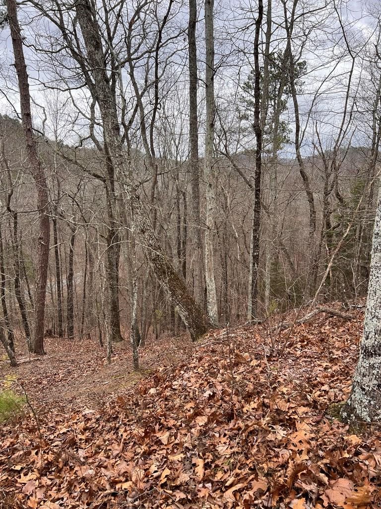278 Carters Lake Overlook, Ranger GA 30734 - Photo