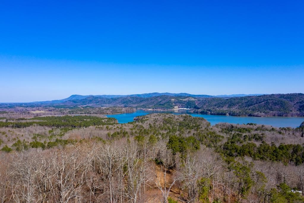 278 Carters Lake Overlook, Ranger GA 30734 - Primary photo