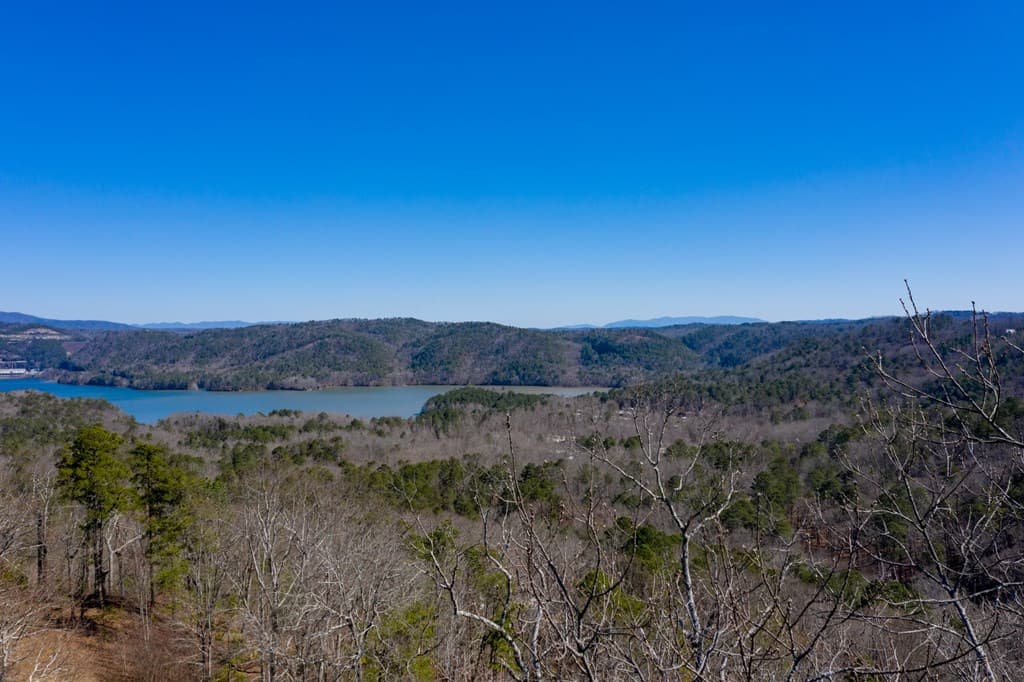 278 Carters Lake Overlook, Ranger GA 30734 - Photo