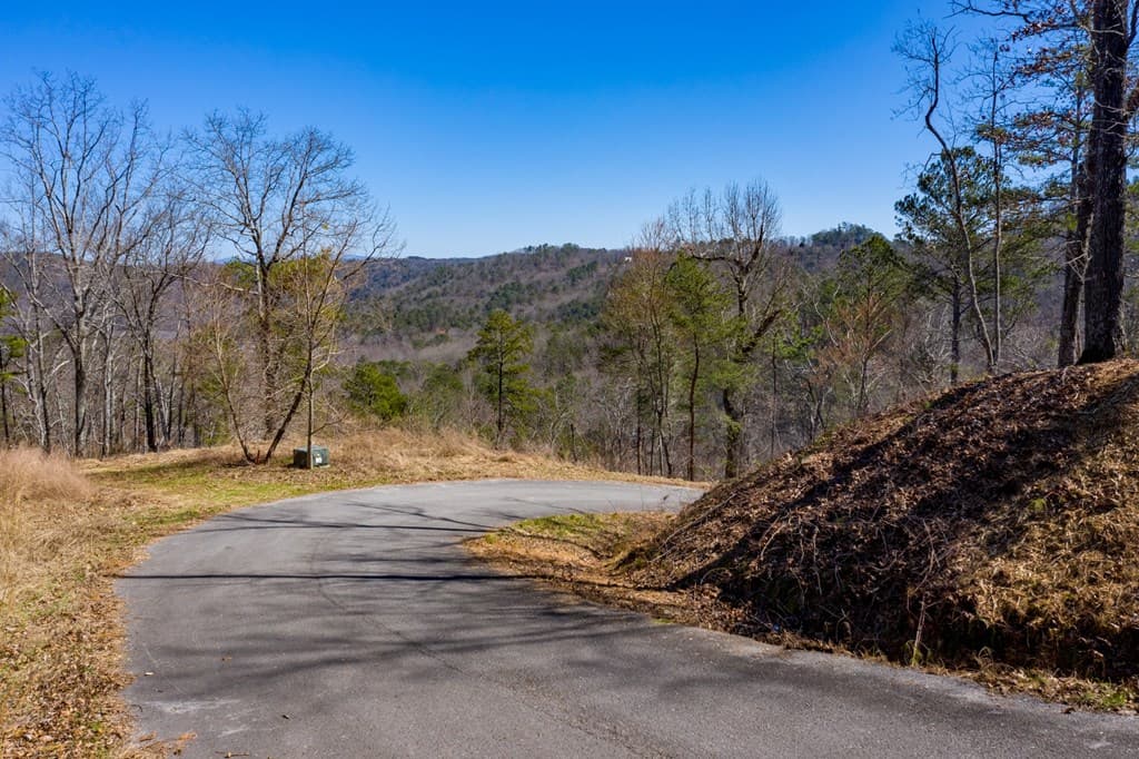 278 Carters Lake Overlook, Ranger GA 30734 - Photo