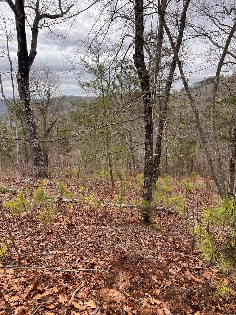 278 Carters Lake Overlook, Ranger GA 30734 - Photo
