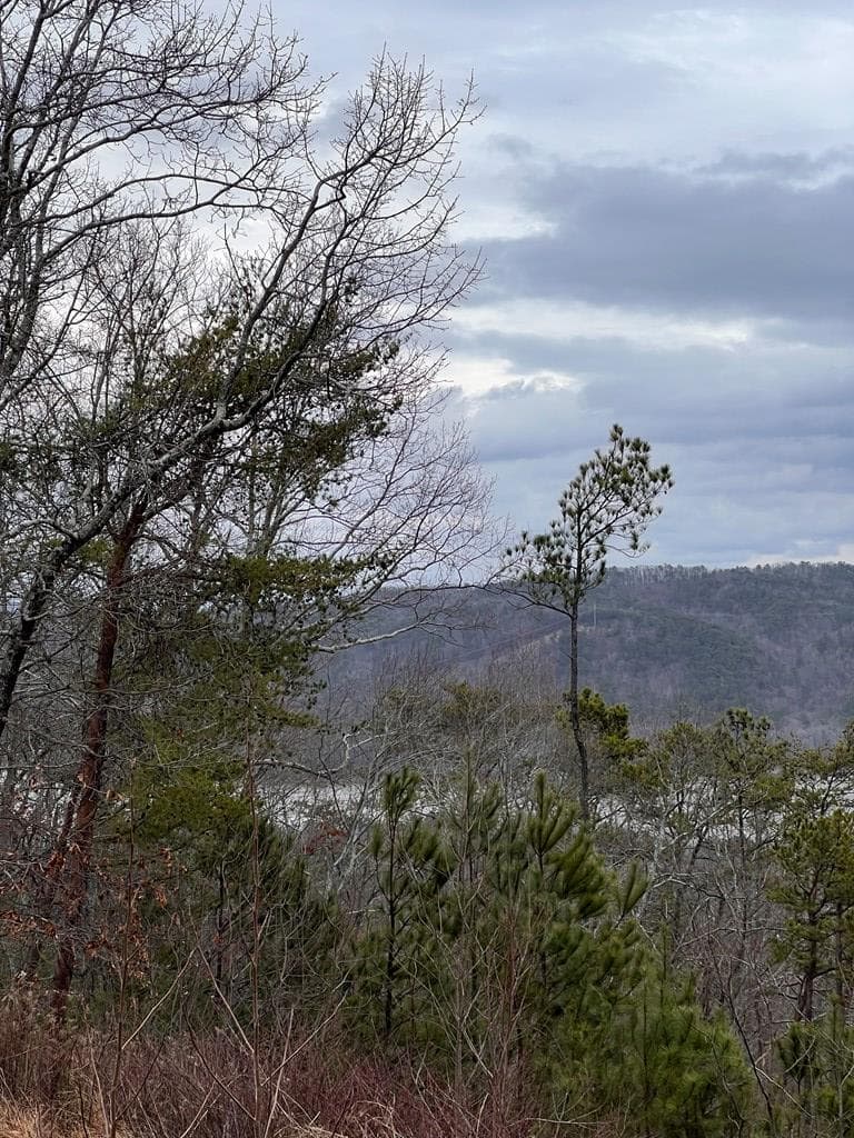 278 Carters Lake Overlook, Ranger GA 30734 - Photo