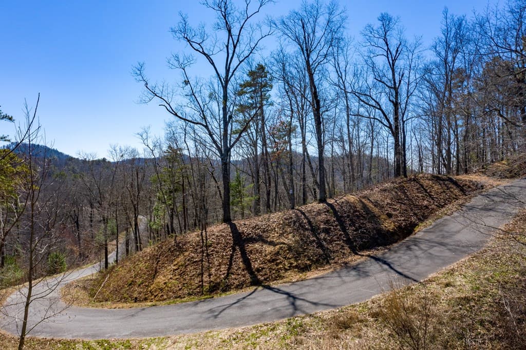 278 Carters Lake Overlook, Ranger GA 30734 - Photo