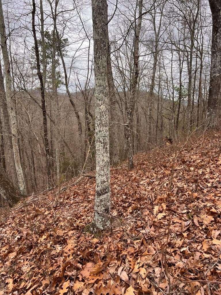 278 Carters Lake Overlook, Ranger GA 30734 - Photo