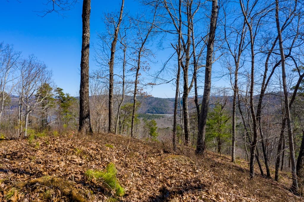 278 Carters Lake Overlook, Ranger GA 30734 - Photo
