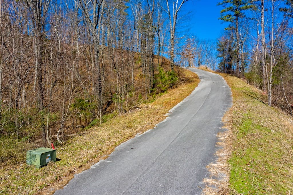 278 Carters Lake Overlook, Ranger GA 30734 - Photo