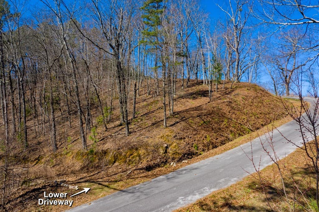278 Carters Lake Overlook, Ranger GA 30734 - Photo