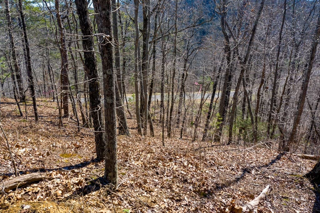 278 Carters Lake Overlook, Ranger GA 30734 - Photo
