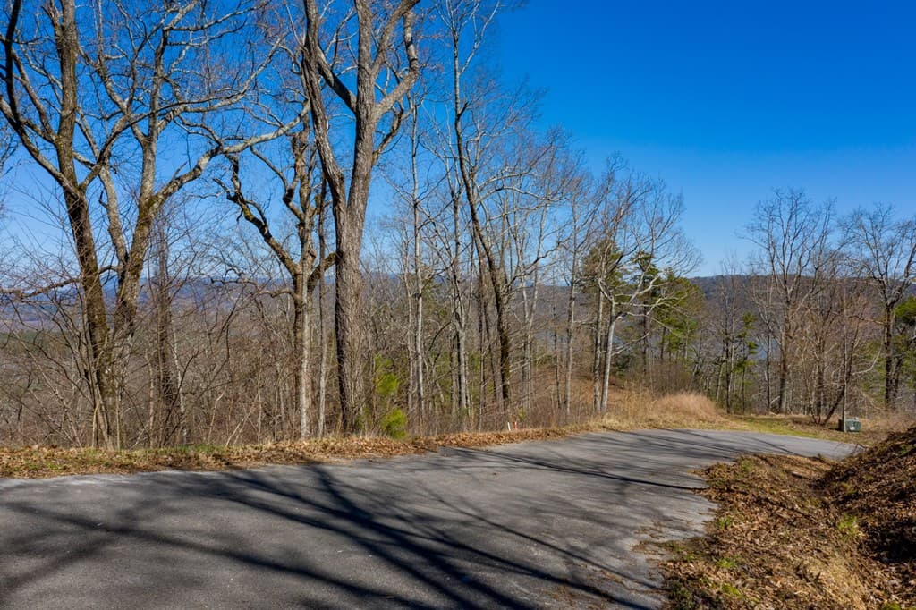 278 Carters Lake Overlook, Ranger GA 30734 - Photo