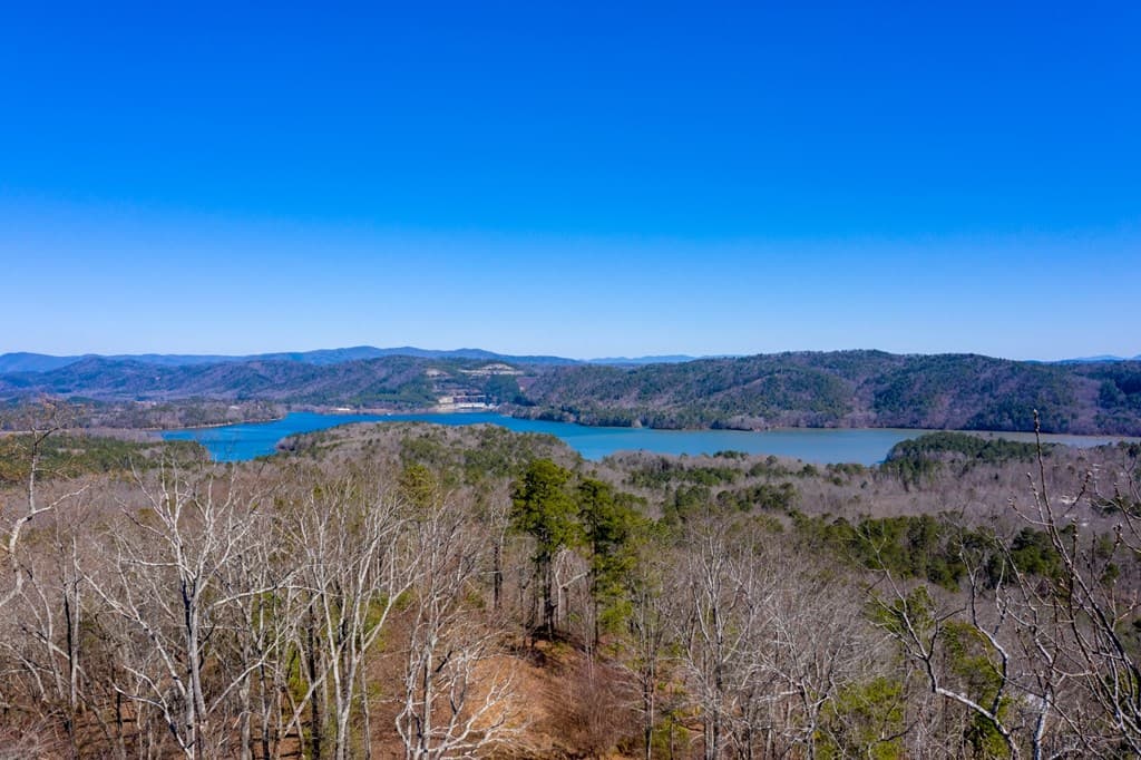 278 Carters Lake Overlook, Ranger GA 30734 - Photo