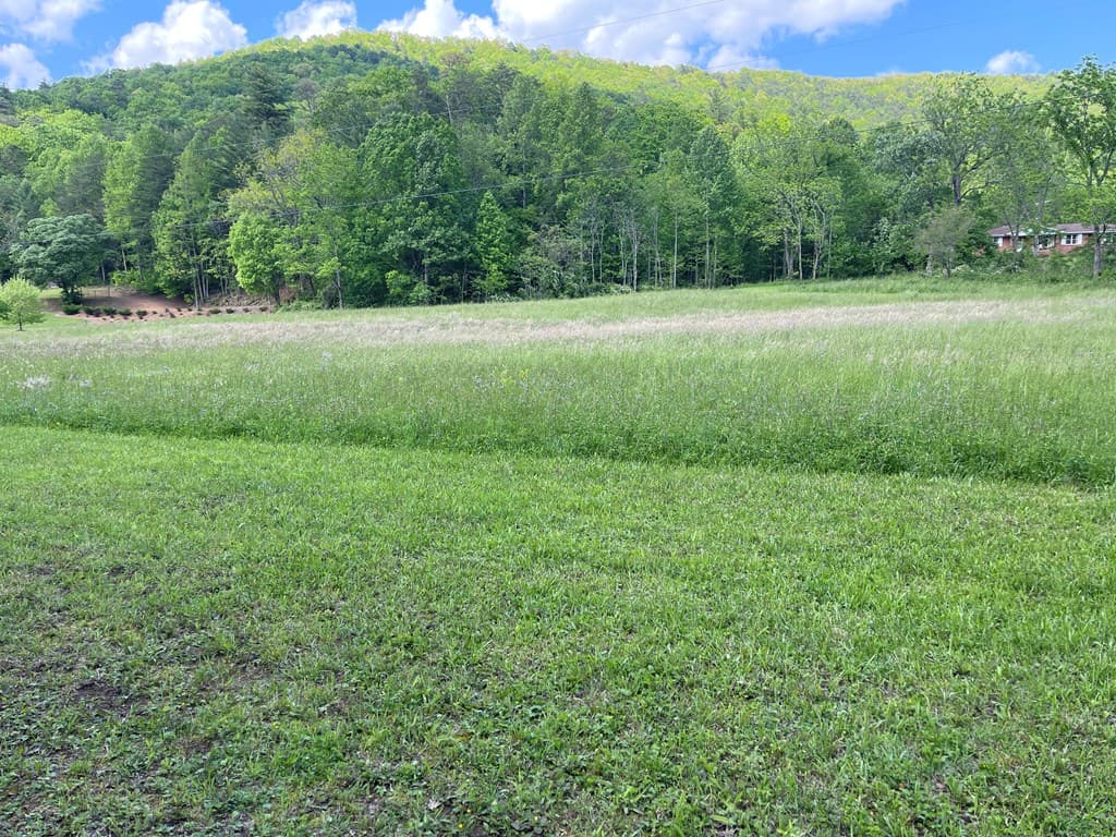 155 Cedar Cliff Lane, Murphy NC 28906 - Photo