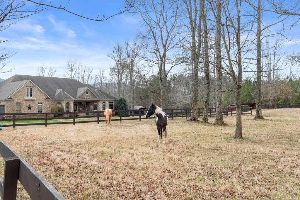 456 E Valley Road, Rydal GA 30171 - Photo
