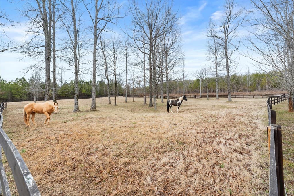 456 E Valley Road, Rydal GA 30171 - Photo