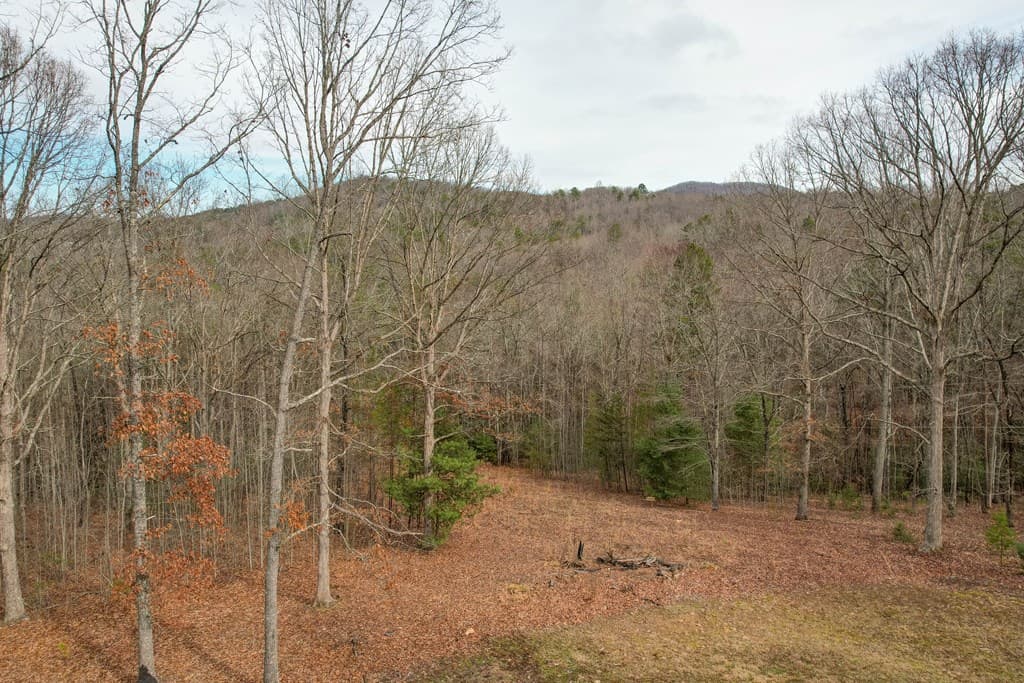 256 Bootlegger Road, Morganton GA 30560 - Photo