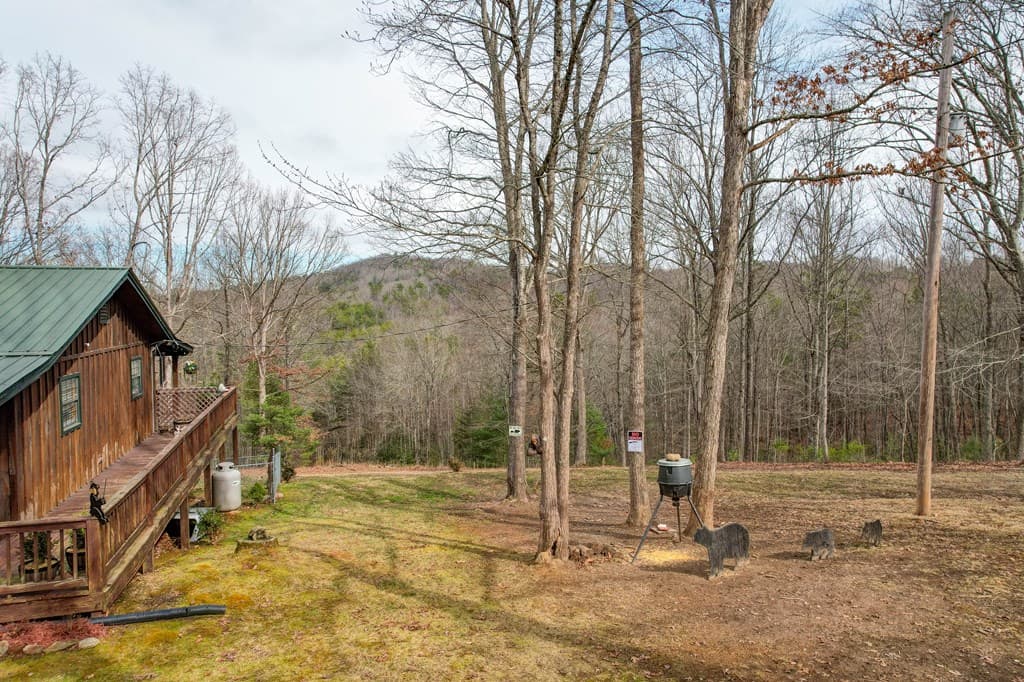 256 Bootlegger Road, Morganton GA 30560 - Photo