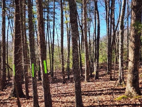 L17 Gray Grouse Trail, Murphy NC 28906 - Photo