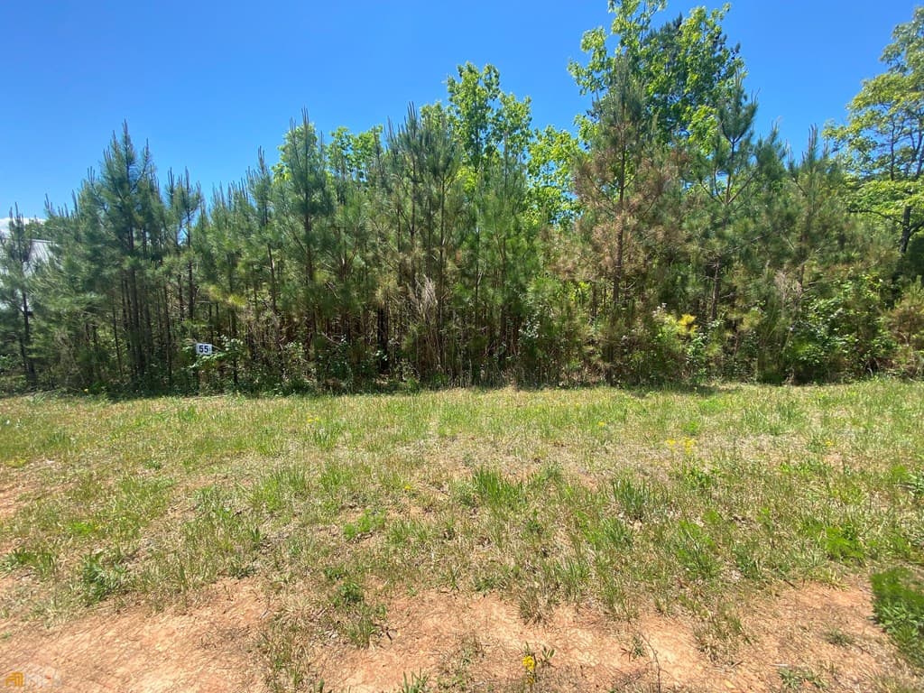 Lot 55 Village Loop, Blairsville GA 30512 - Photo