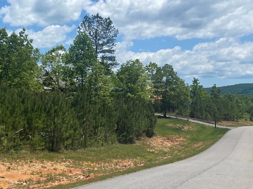 Lot 55 Village Loop, Blairsville GA 30512 - Photo