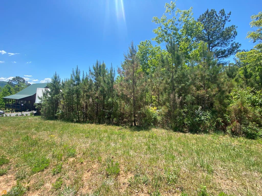 Lot 55 Village Loop, Blairsville GA 30512 - Photo