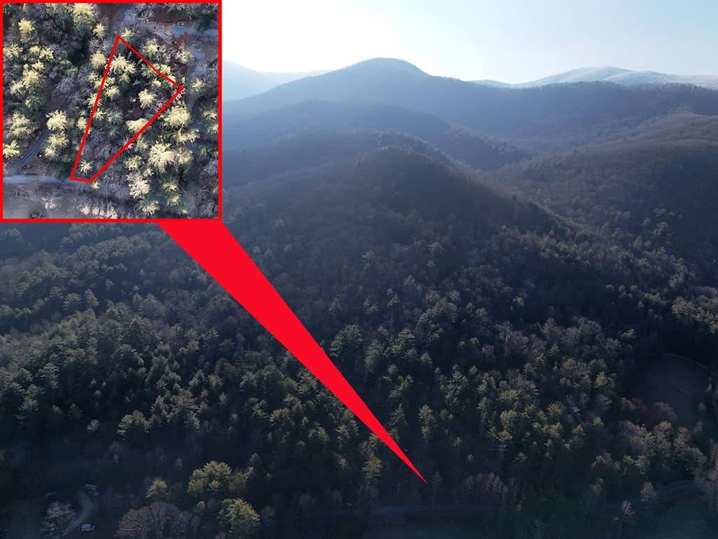 Lot 2 Papas Mountain Road, Blairsville GA 30512 - Photo