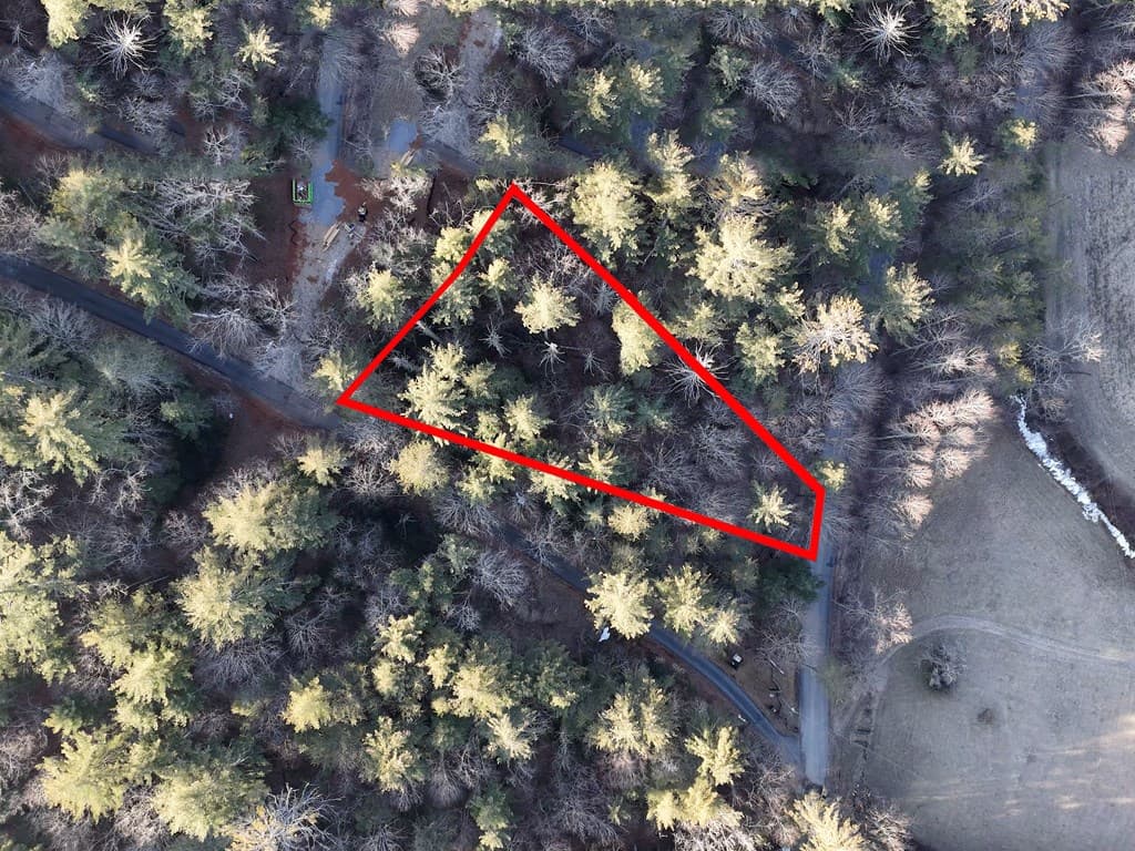 Lot 2 Papas Mountain Road, Blairsville GA 30512 - Photo