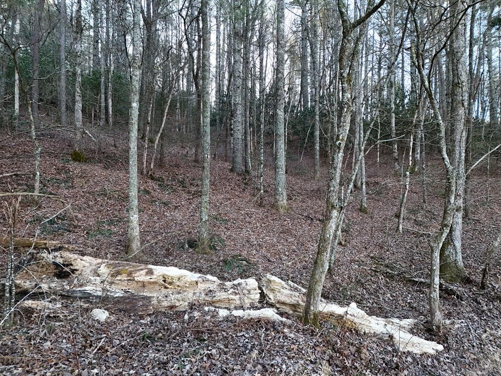 Lot 2 Papas Mountain Road, Blairsville GA 30512 - Primary photo
