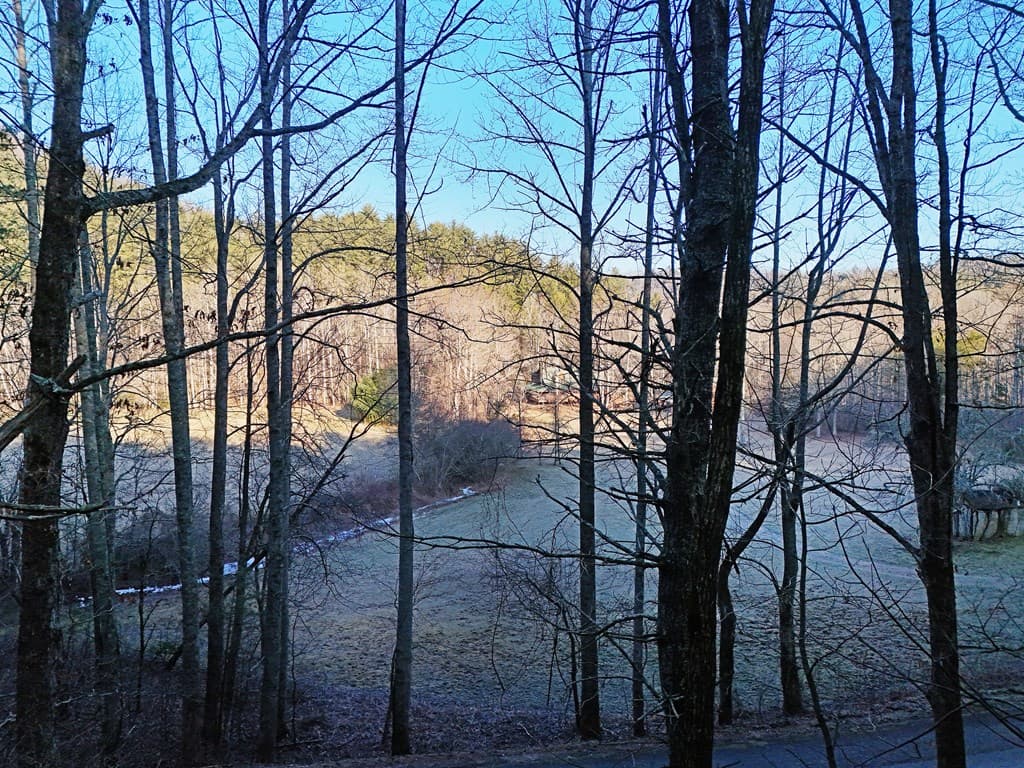 Lot 2 Papas Mountain Road, Blairsville GA 30512 - Photo