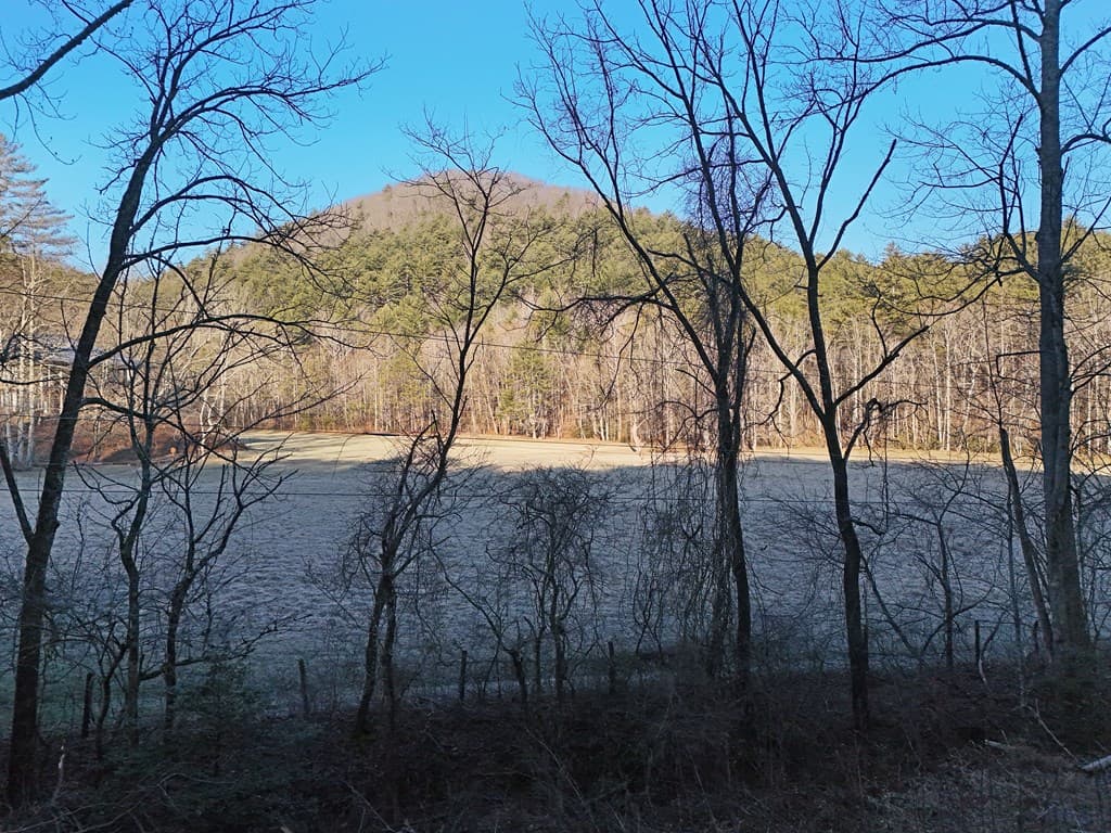 Lot 2 Papas Mountain Road, Blairsville GA 30512 - Photo