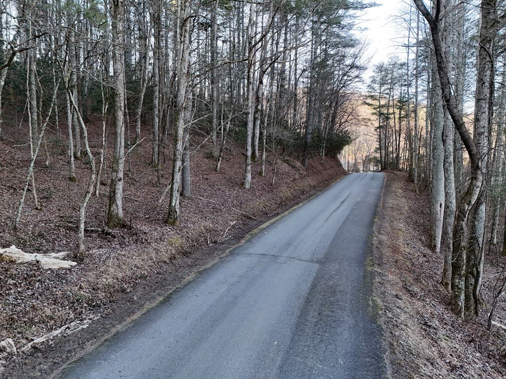 Lot 2 Papas Mountain Road, Blairsville GA 30512 - Photo
