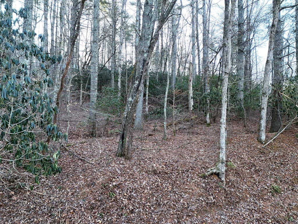 Lot 2 Papas Mountain Road, Blairsville GA 30512 - Photo