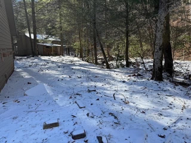 5411 Turniptown Road, Ellijay GA 30536 - Photo