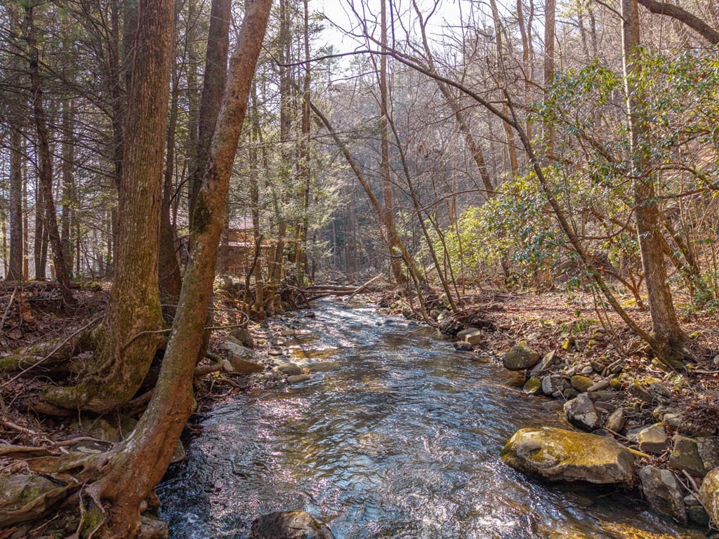 5411 Turniptown Road, Ellijay GA 30536 - Photo
