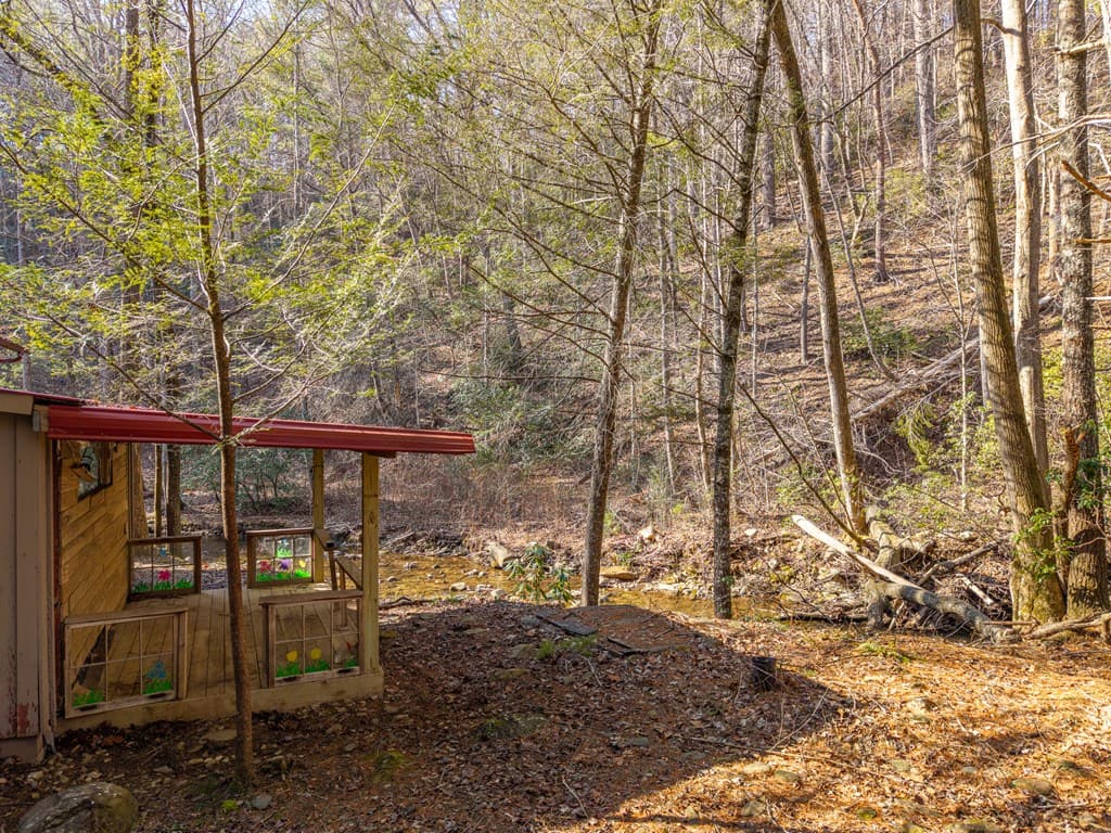 5411 Turniptown Road, Ellijay GA 30536 - Photo