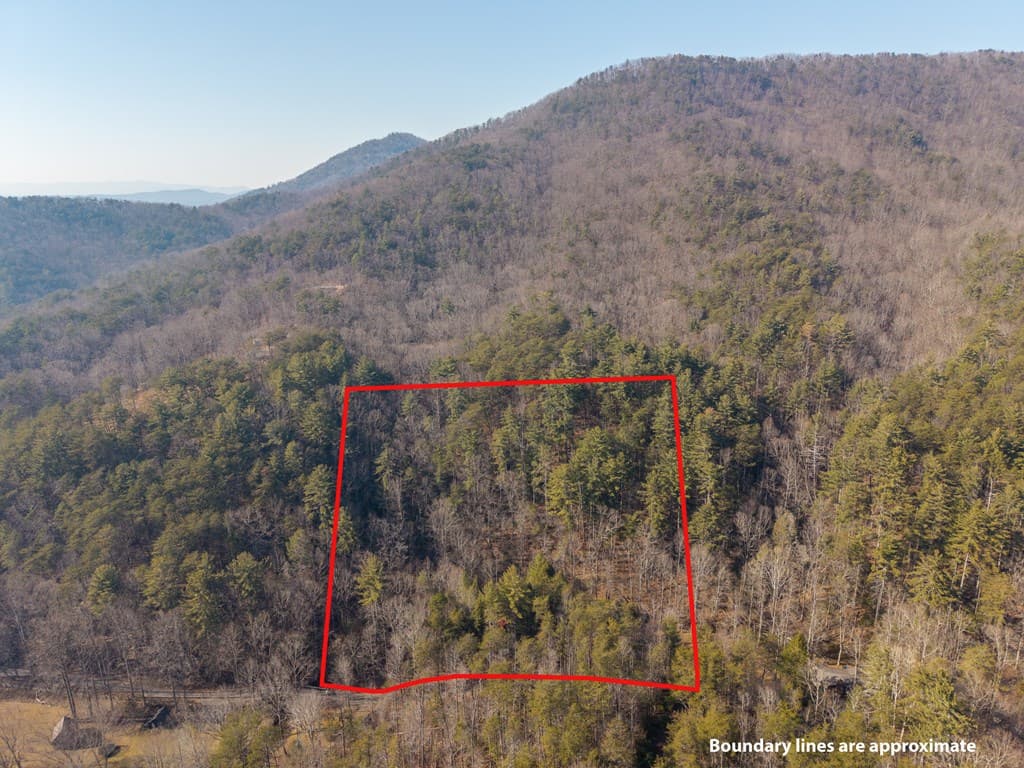 5411 Turniptown Road, Ellijay GA 30536 - Photo