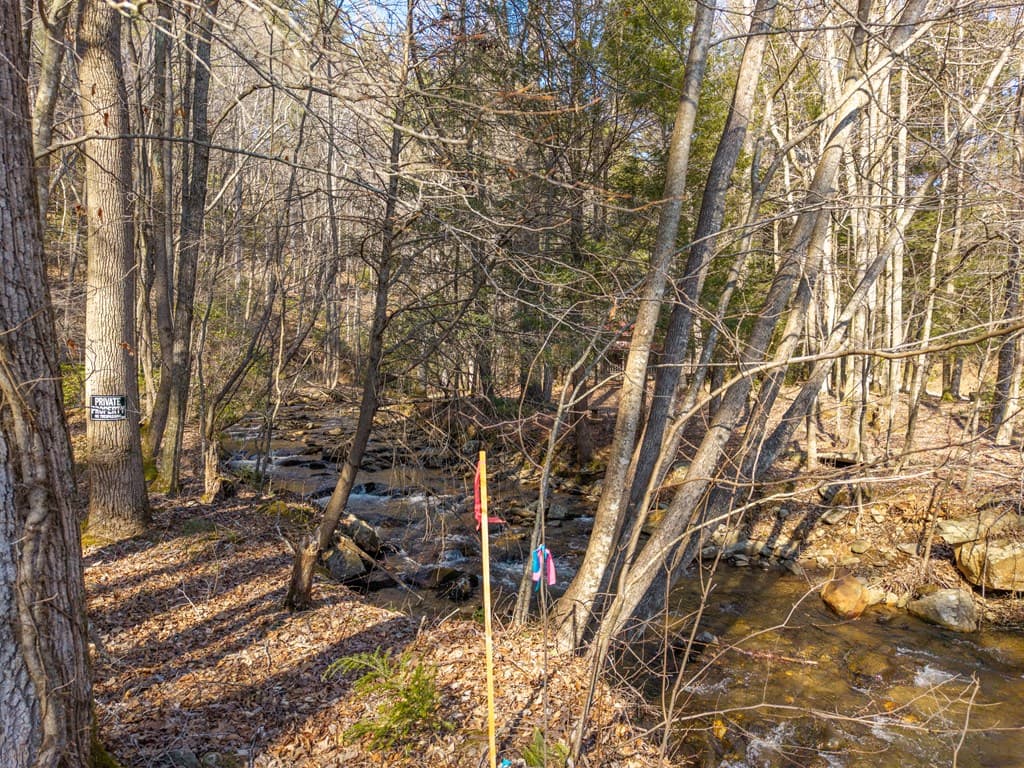 5411 Turniptown Road, Ellijay GA 30536 - Photo