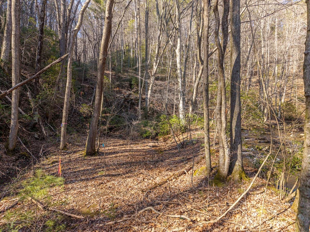 5411 Turniptown Road, Ellijay GA 30536 - Photo