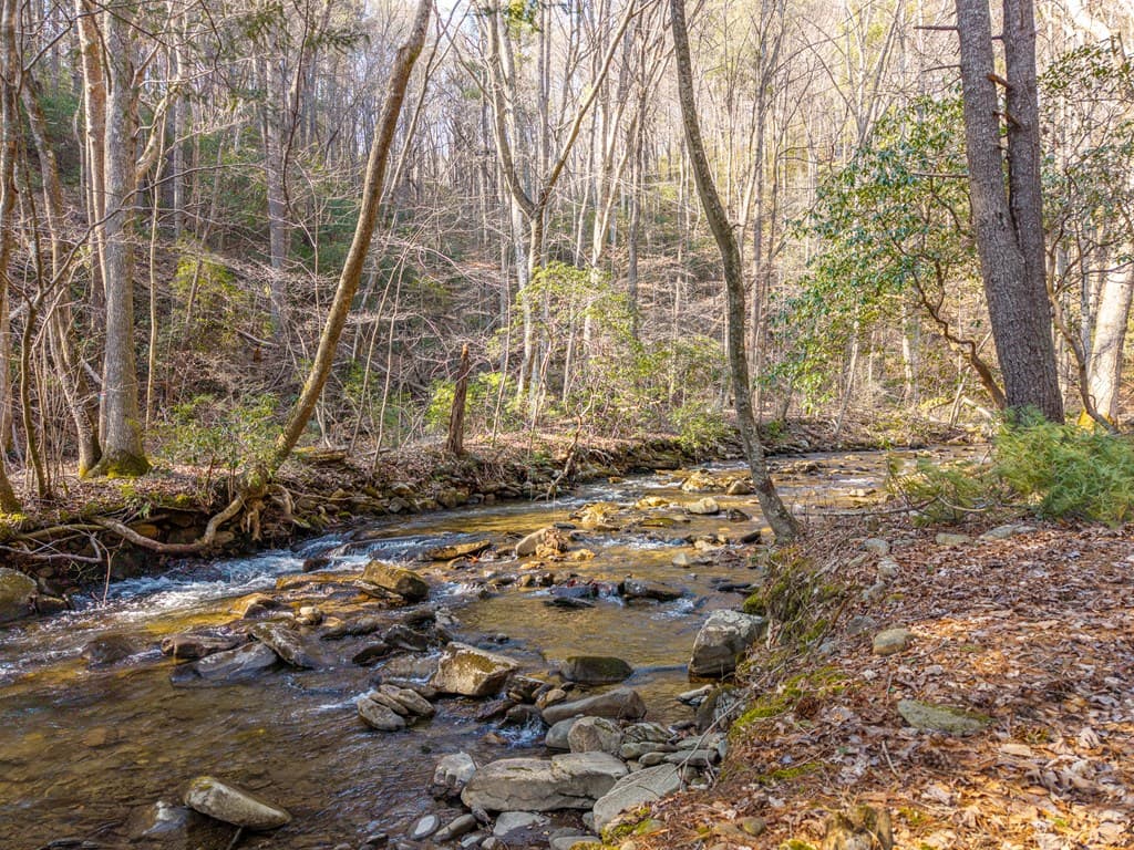 5411 Turniptown Road, Ellijay GA 30536 - Photo
