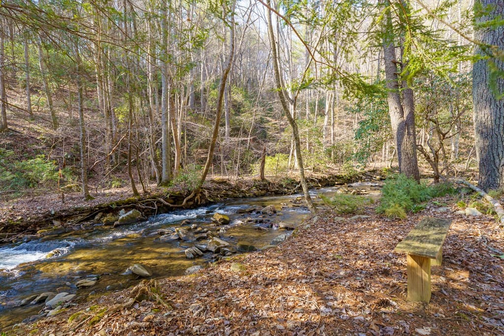 5411 Turniptown Road, Ellijay GA 30536 - Photo