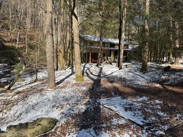 5411 Turniptown Road, Ellijay GA 30536 - Photo