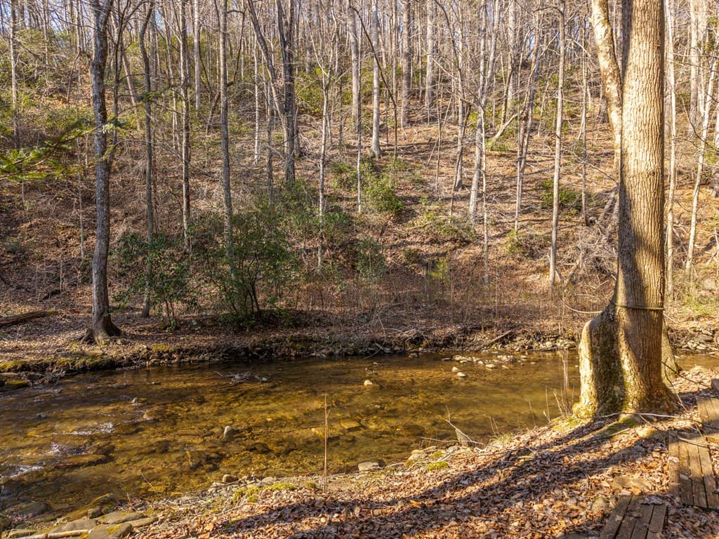 5411 Turniptown Road, Ellijay GA 30536 - Photo